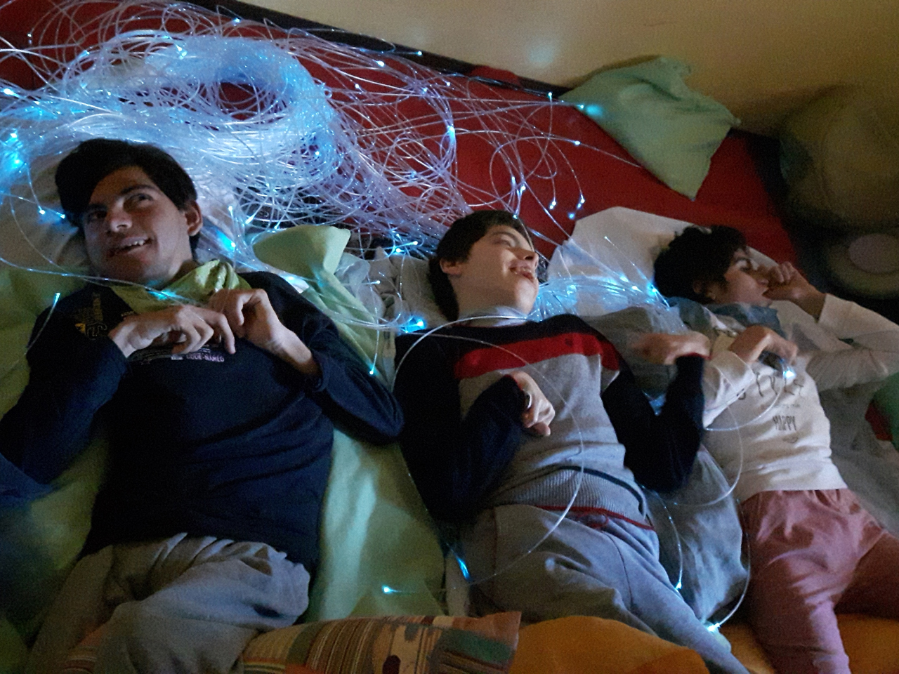 Attività a VSA